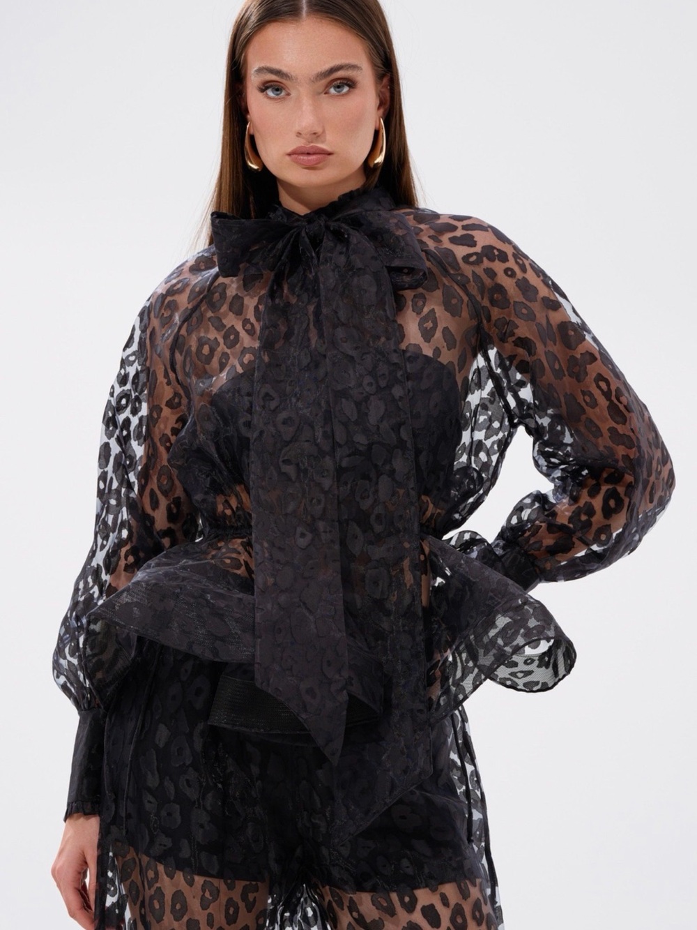 Sheer Black Leopard Print Ruffle Tie-Waist Blouse